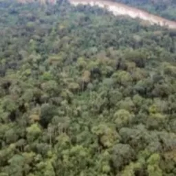 Território indígena urucú-juruá❤️🥰