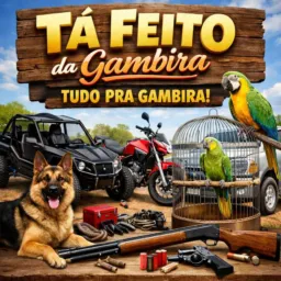 Gambira de tudo 🚀🎮 🧦🩴💍🚗🛻🏍️