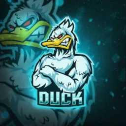 INFORMAÇÕES COPA DUCK