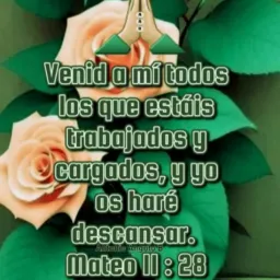 Ministerio Almas para Cristo🙌🏻👑❤‍🔥