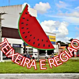 TEIXEIRA VENDAS E REGIÃO