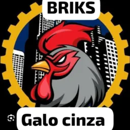 Briks Galo cinza STI