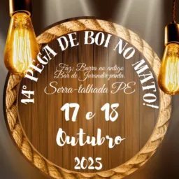 14ª Pega de Boi - Vinicius do gado 🐃🐎🌵