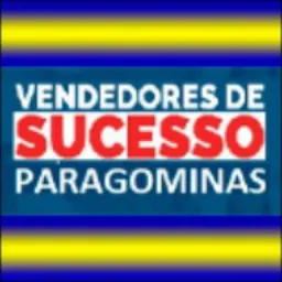 VENDEDORES DE AUCESSO PGM