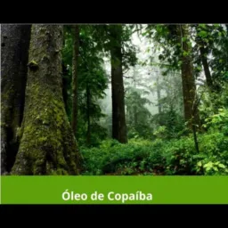 ÓLEOS NATURAIS A CURA PELA NATUREZA