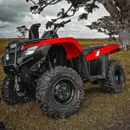 🏞️🇧🇷  "Off-road tires" 🔥  Alisson chama no brick...🇧🇷🙅🏼‍♂️