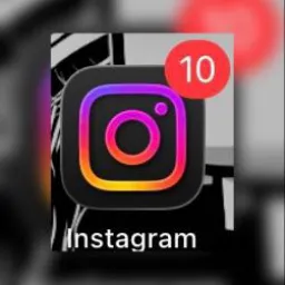 COMUNIDAD, SEG PARA IG