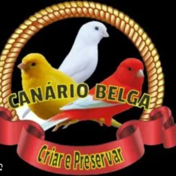 Grupo só belga
