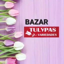 Bazar das mulheres tulypas variedades dia 14/05/2026