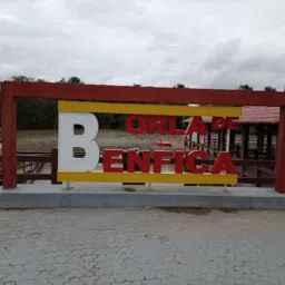 BENFICA/MURININ/SANTA MARIA 🌴🌳