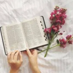 Mensagens Que nus Fortalecem📖