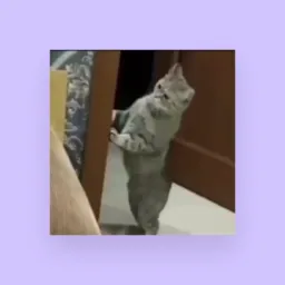 Grupo de tudo um pouco