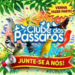 Clube dos Pássaros Elite 🏆