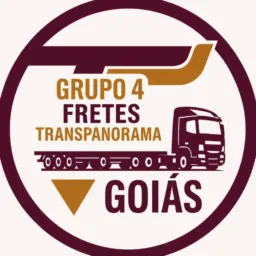 FRETES TRANSPANORAMA GOIÁS 4