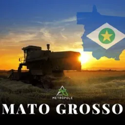 REGIÃO AGRO MT _ 💚🌾 SAPEZAL _ NOVA MUTUM _ SORRISO _ SINOP _ LUCAS DO RIO VERDE _ JUARA _ DIAMANTINO
