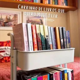 📚Meus livros