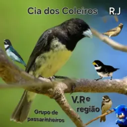 ✅Cia dos Coleiros V.R,B.M e região (Oficial)🇧🇷🤝