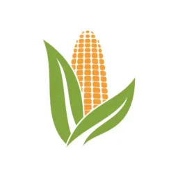 Amigos da pamonha compra e venda 💸🌾🌽