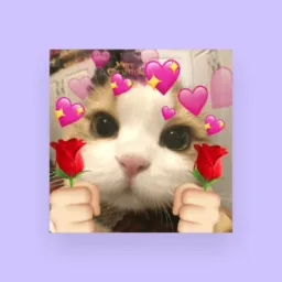 ESTICKERS💘