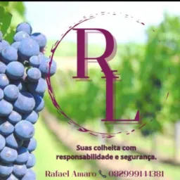 Grupo de colheita 🍇🍇✂️