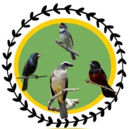 🦅BAIXADA PASSAROS🦅