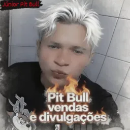 🤴🏼Pit🏹Bull🪙Vendas🥋&🥷🏻Eivulgações👸🏼
