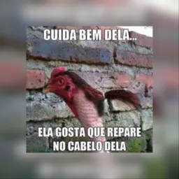 Só as que gosta de ser feliz 😂