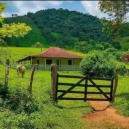 Eu ❤️ a Vida na Roça🌳