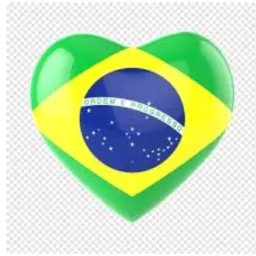 Brasil novo! venda certa! 💰🤝💳