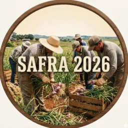 Safra 2026🧄🧅🥕