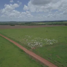 Brique Água Boa MT