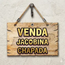 Venda Jacobina Chapada