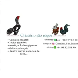 Criatório são roque 🐔🐓