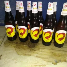 Movimentações do dia dia💣