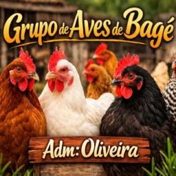 Grupo de Venda de aves Bagé 2
