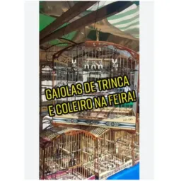 FEIRAS DE CAMPO GRANDE, CAMARÁ, CAXIAS E HONÓRIO ROLO DE AVES 🦜