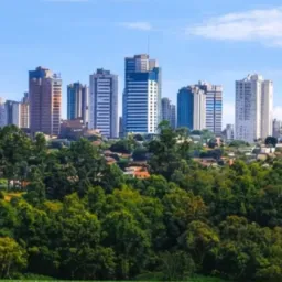 Arapongas Noticias e Informações