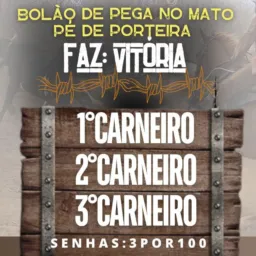 Pega de Boi Fazenda Vitória