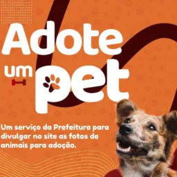 DOAÇÃO E ADOÇÃO DE ANIMAIS HUMAITÁ 🐶🐱🐰🐨🐯🐵🐒🐣🐔🐣🐮🐵🐯🐵🐯🐵