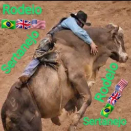 Rodeio sertanejo