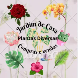 Jardim de Casa 🌸🪷 Plantas Diversas🪴🌵Compras e Vendas🌺🌻