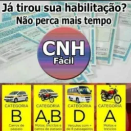 Auto escola meta