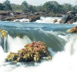 Boa esperança do norte 🍃