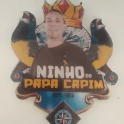 Rifa ( Ninho do papa capim)