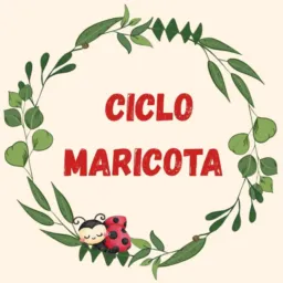 Ciclo Maricota 🐞 Moda circular e Fitness