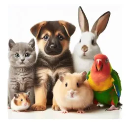 SÓ EXÓTICOS - ANIMAIS, AVES, PÁSSAROS...