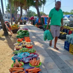 FEIRA0️⃣6️⃣ LIVRE MARACANAÚ🦅🐈🐮🐄🐒🐶🐢🐏🐔🦢🪿🦜🦚🦃