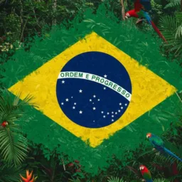 20. VENDAS E OPORTUNIDADES | ALTO SOLIMÕES 🇧🇷