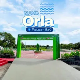 Novo grupo de peixe-Boi 🤝🤝