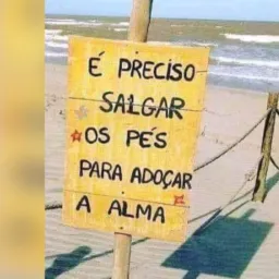 Brick dos brick de xangrila a curumim.